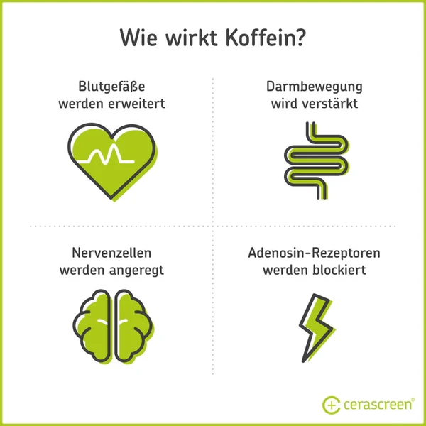 Wie wirkt Koffein?