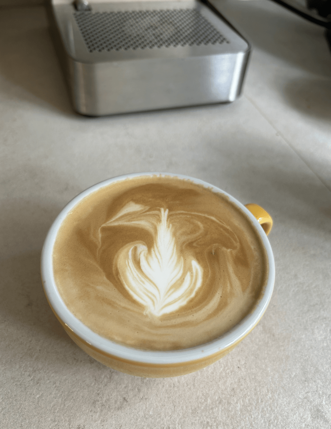 Cappuccino mit sauberer Latte-Art (Rosetta)